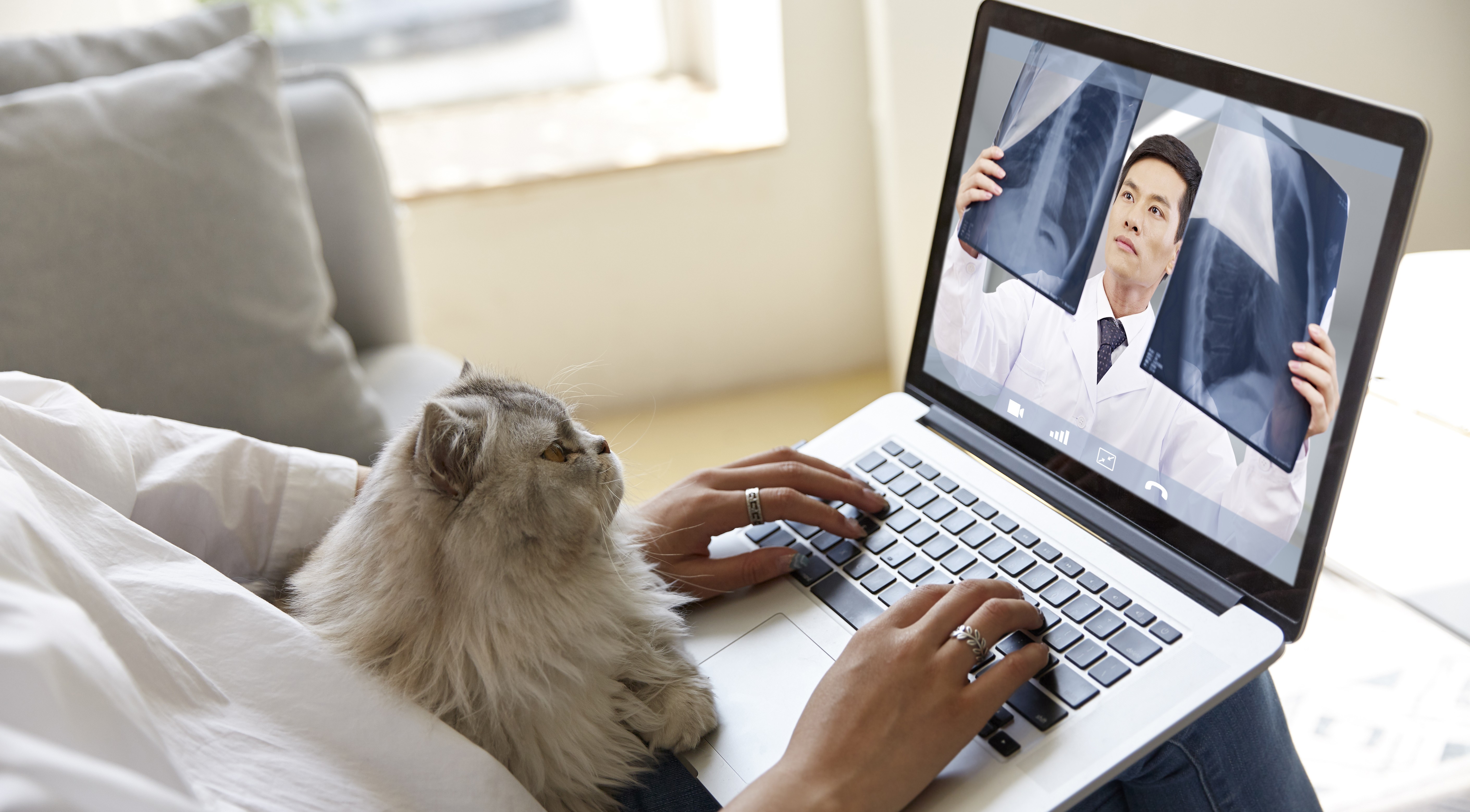 Pros and Cons of Pet Telehealth & Telemedicine